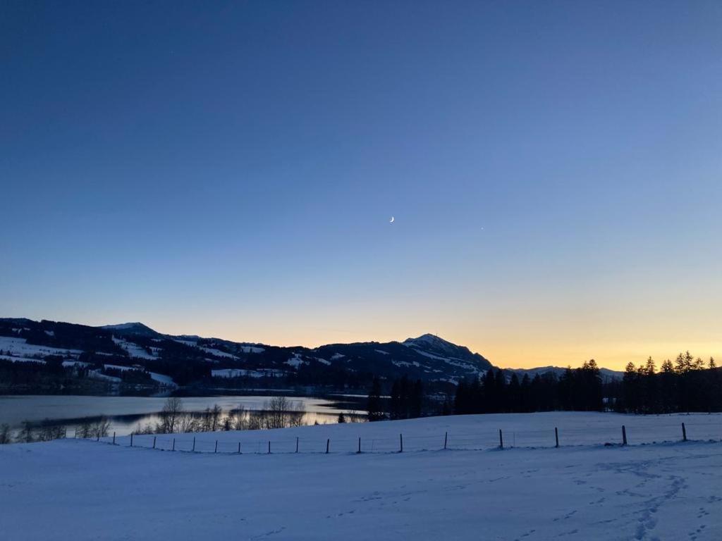 Ferienwohnung Bergseeruhe - Allgaeu - Ankommen & Wohlfuehlen ズルツベルク エクステリア 写真